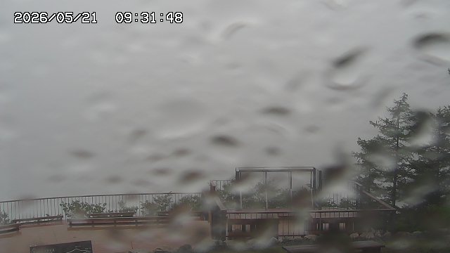05/21 09:31