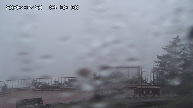 07/28 04:59