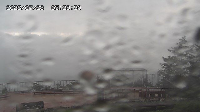 07/28 05:29