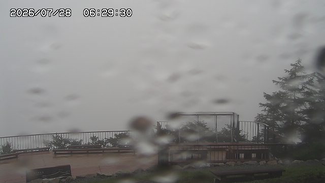 07/28 06:29