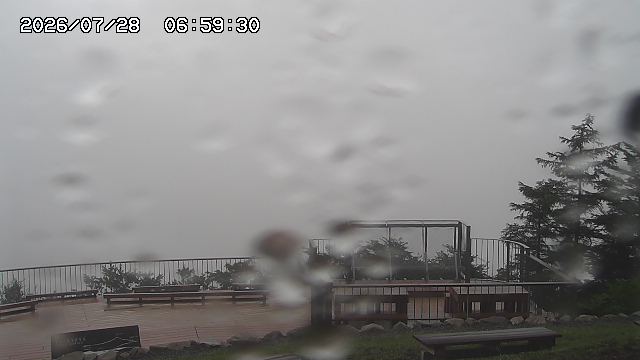 07/28 06:59