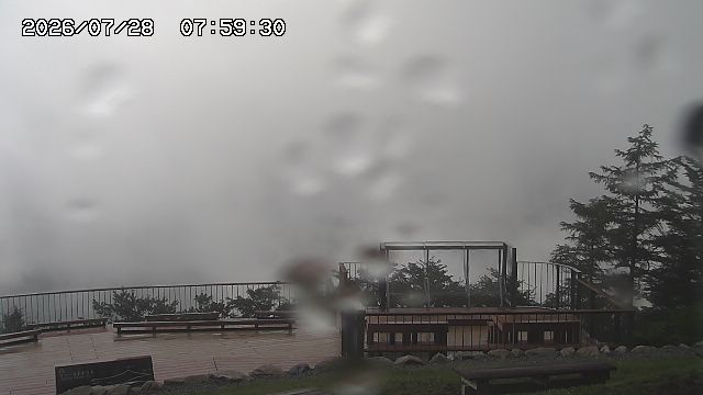 07/28 07:59