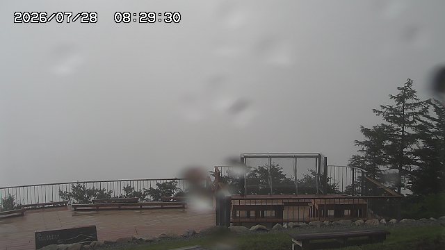 07/28 08:29