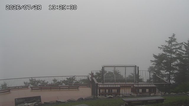 07/28 13:31