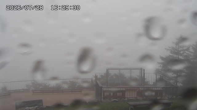 07/28 16:30