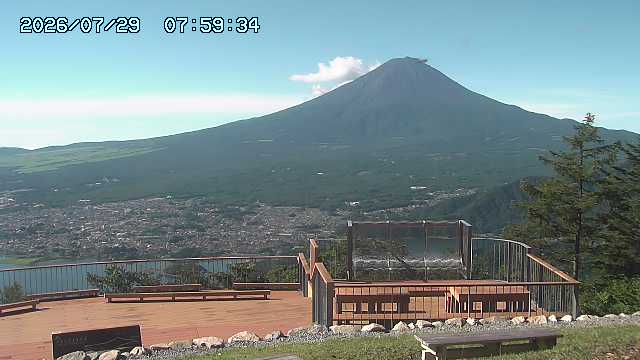 07/29 07:59