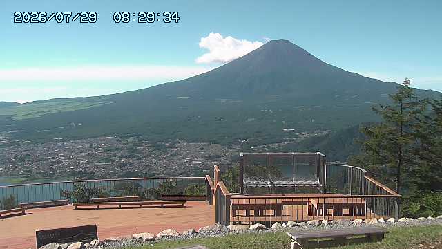 07/29 08:29