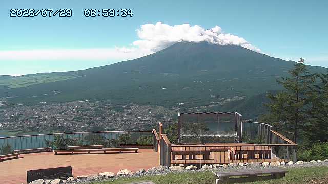 07/29 08:59