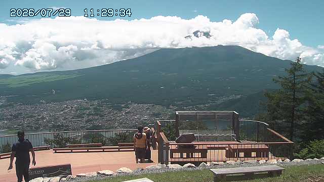 07/29 11:29
