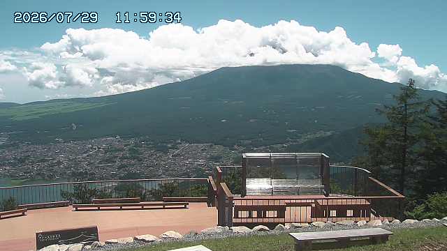 07/29 11:59