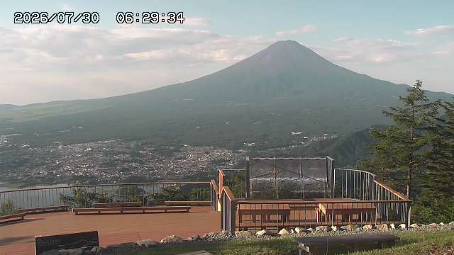 07/30 06:29