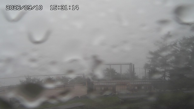 09/10 15:31
