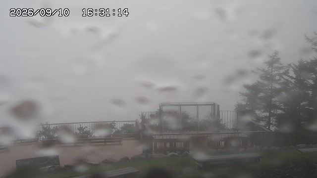 09/10 16:31