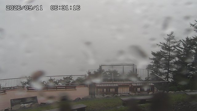 09/11 06:31