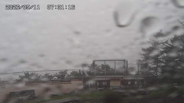 09/11 07:31