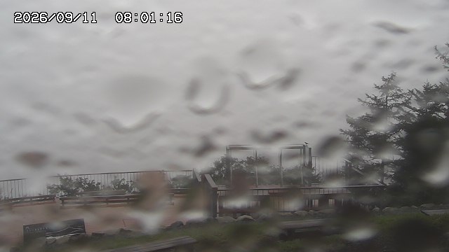 09/11 08:01