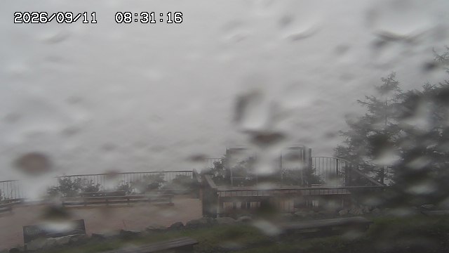 09/11 08:31