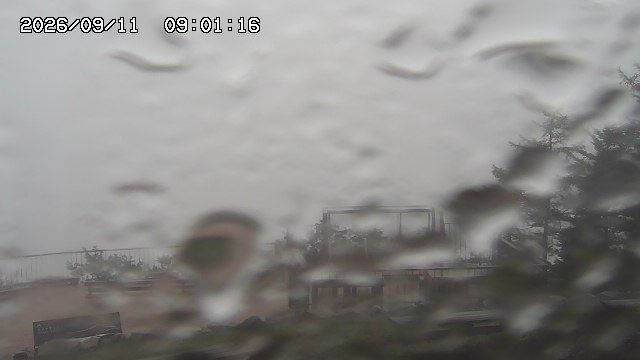 09/11 09:01