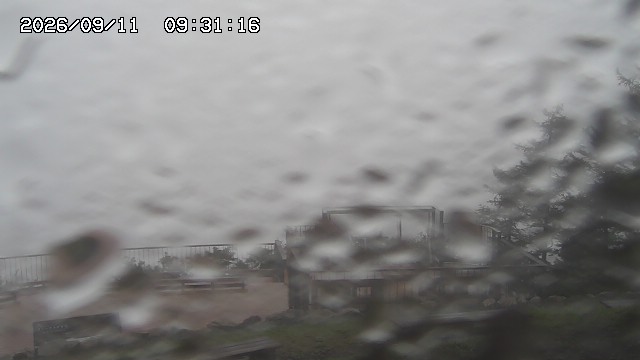 09/11 09:31