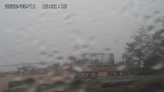 09/11 12:31