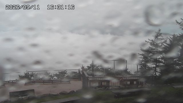 09/11 16:31