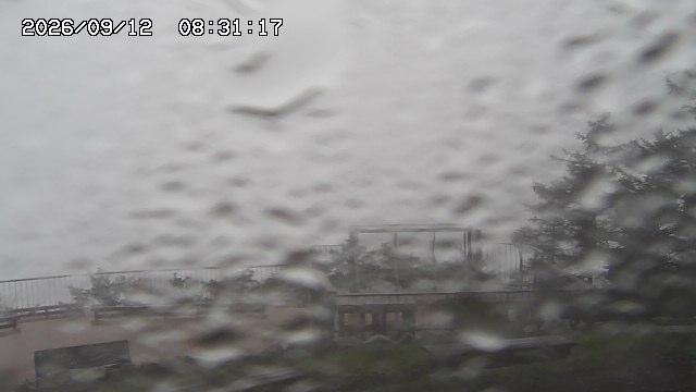 09/12 08:31