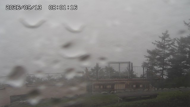 09/13 08:01