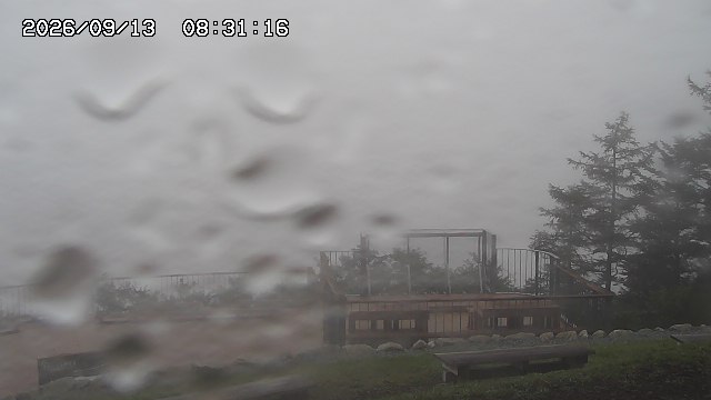 09/13 08:31