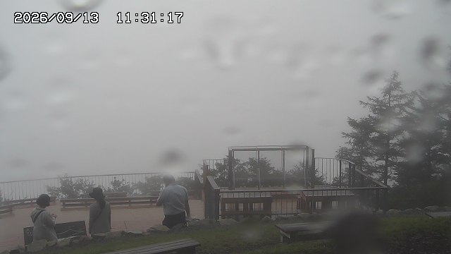 09/13 11:31