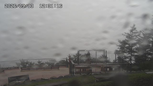 09/13 12:31