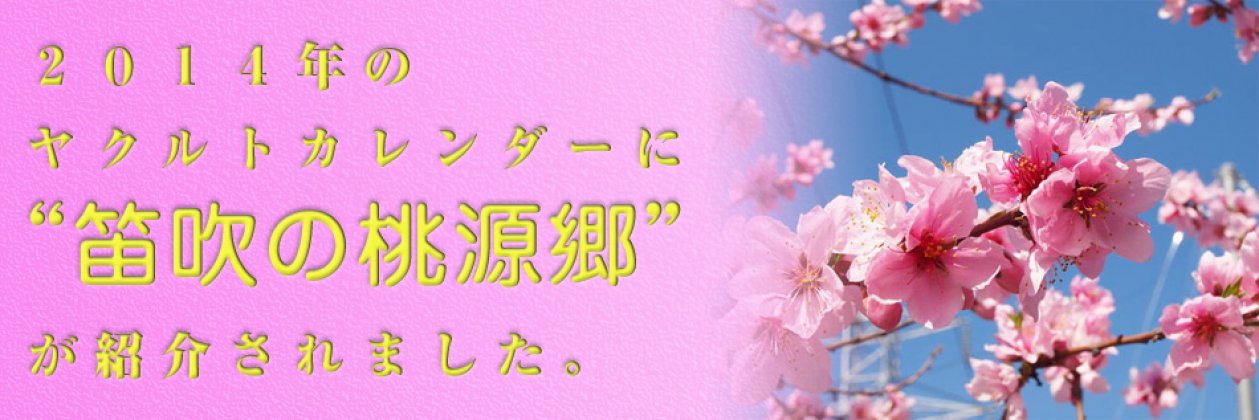 発行部数世界一！ヤクルトカレンダー