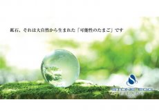 ストーンエッグ英雅堂