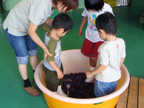 ぶどう踏み体験が出来るワイナリー