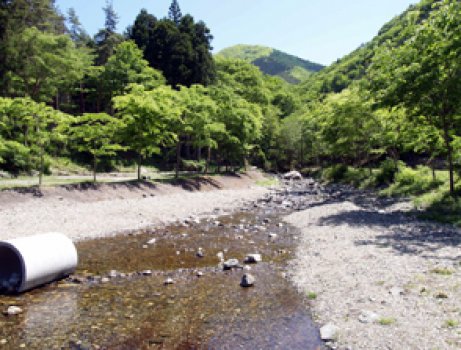 美しい渓流は水遊びにも最適です