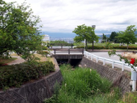 公園外の小川でも自然のホタルが見られます