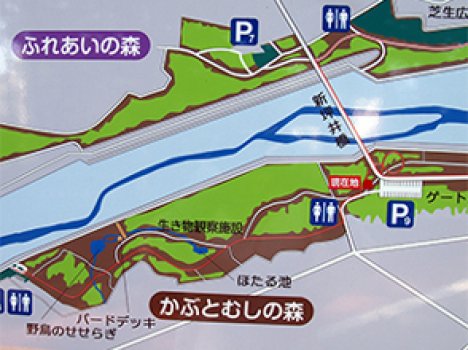 かぶとむしの森の地図です
