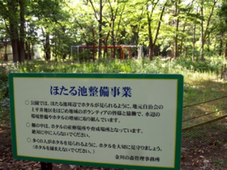 ほたる池は整備されています。ホタルを大切に