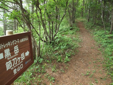 新道峠からの登山口、反対側は黒岳方面