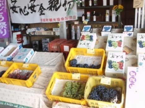 いろいろな種類の商品があります。