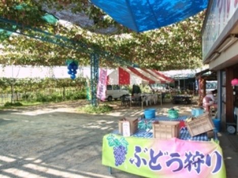 園内の様子です。