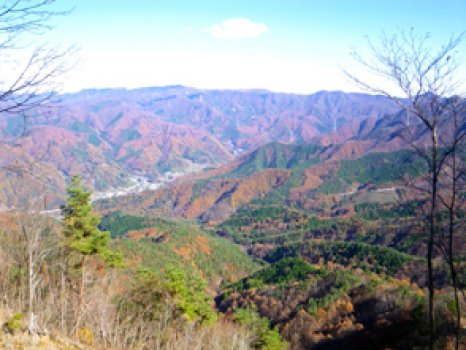 京戸山周辺からの笹子峠の紅葉。