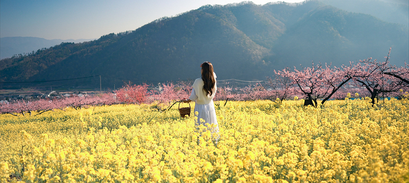 桃源郷を歩こう！2026