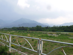 一級河川金川の両岸に広がる公園